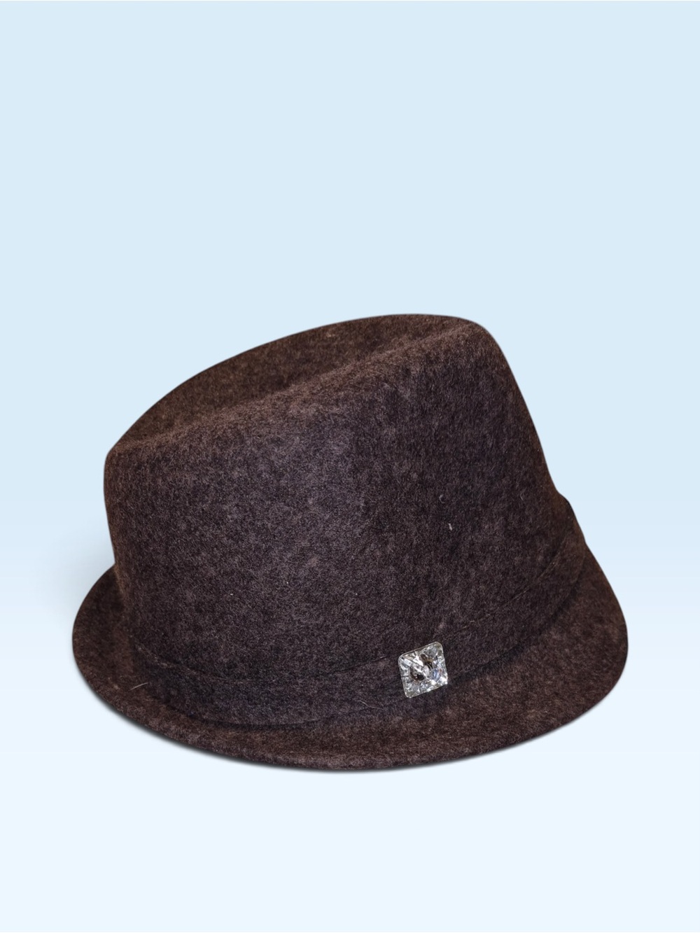 Classic Brown Felt Fedora Hat with Decorative Pin